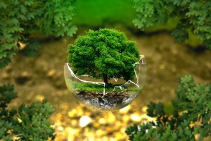 eco