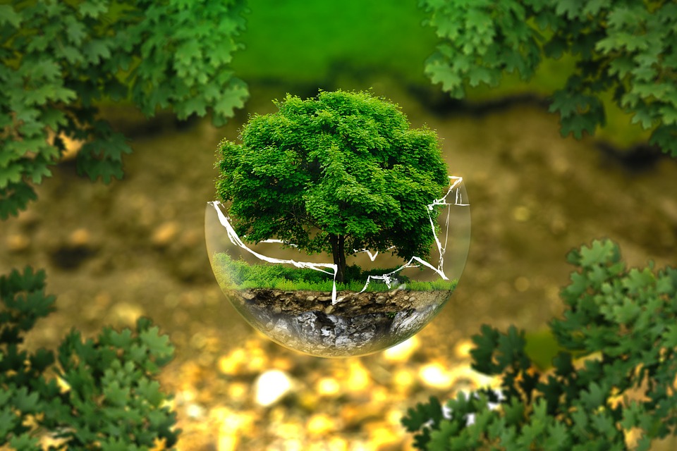 eco